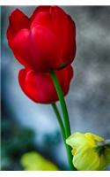 Tulips Notebook