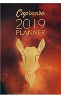 Capricorn Planner: 2019: Zodiac Star Sign: Organizer and Notebook: Nebula Design
