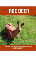 Roe Deer: Children Book of Fun Facts & Amazing Photos
