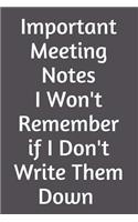Important Meeting Notes I Won't Remember If I Don't Write Them Down: Blank Lined Journal - Office Worker Journal - Gag Journal for Office Worker