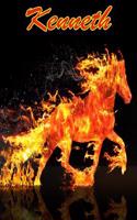 Horse Passion