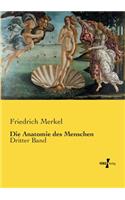 Die Anatomie des Menschen