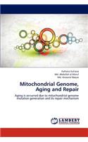 Mitochondrial Genome, Aging and Repair