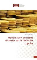 Modélisation du risque financier par la TEV et les copules