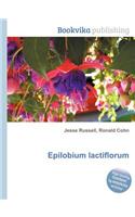 Epilobium Lactiflorum: (English)