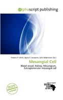Mesangial Cell: (English)