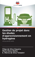 Gestion de projet dans les études d'approvisionnement en hydrogène