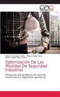 Optimización De Las Medidas De Seguridad Industrial