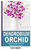 Dendrobium Orchid