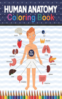 Human Anatomy Coloring Book For Kids