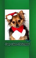 Joey Likes Christmas