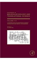 G Protein-Coupled Receptors in Energy Homeostasis and Obesity Pathogenesis