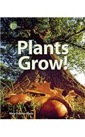 Plants Grow!