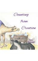 Counting from Creation