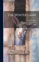 Winter Lamb