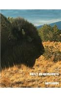 Built By Ruminants Notebook: A large Composition and Exercise book for teachers, coaches and students.