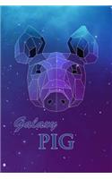 Galaxy Pig
