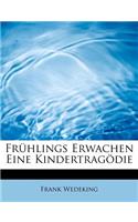 Fruhlings Erwachen Eine Kindertragodie