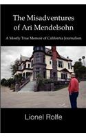 The Misadventures Of Ari Mendelsohn