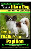 Papillon, Papillon Training AAA AKC