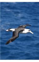 The Albatross Bird Journal