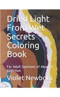 Dried Light From Wet Secrets Coloring Book