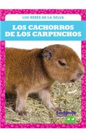 Los Cachorros de Los Carpinchos (Capybara Pups): (Los Bebés de la Selva (Rain Forest Babies))