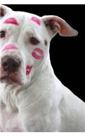 Pretty White Pit Bull Covered in Kisses Journal: Take Notes, Write Down Memories in this 150 Page Lined Journal