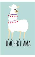 Teacher Llama