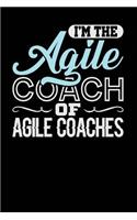 I'm the Agile Coach of Agile Coaches