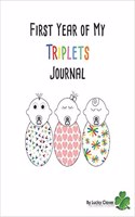 First Year of My Triplets Journal