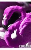 Notebook: Lovely Pink Flamingo Gift for Women Girls and Kids Lined Notebook for Flamingo Lovers to Write in