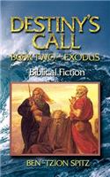 Destiny's Call