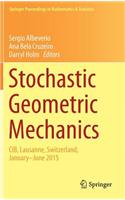 Stochastic Geometric Mechanics
