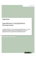 Jugendkulturen und jugendliches Protestpotential