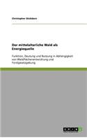 Der mittelalterliche Wald als Energiequelle: Funktion, Deutung und Nutzung in Abhängigkeit von Waldflächenentwicklung und Forstgesetzgebung