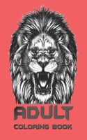 Adult Coloring Book