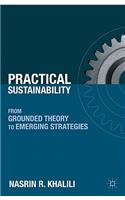 Practical Sustainability