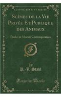 Scènes de la Vie Privée Et Publique Des Animaux: Études de Moeurs Contemporaines (Classic Reprint)