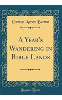 A Year's Wandering in Bible Lands (Classic Reprint)