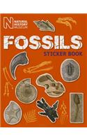 Fossils Sticker Book