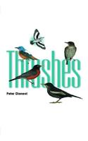 Thrushes