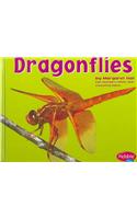 Dragonflies