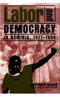 Labor and Democracy in Namibia, 1971-96