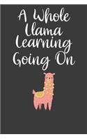 A Whole Llama Learning Going On