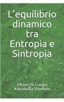L'equilibrio dinamico tra Entropia e Sintropia