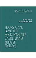 Texas Civil Practice and Remedies Code 2019 Budget Edition