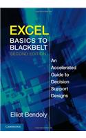 Excel Basics to Blackbelt