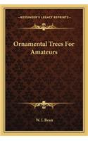 Ornamental Trees for Amateurs
