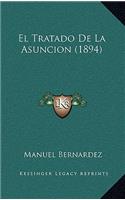 El Tratado De La Asuncion (1894)